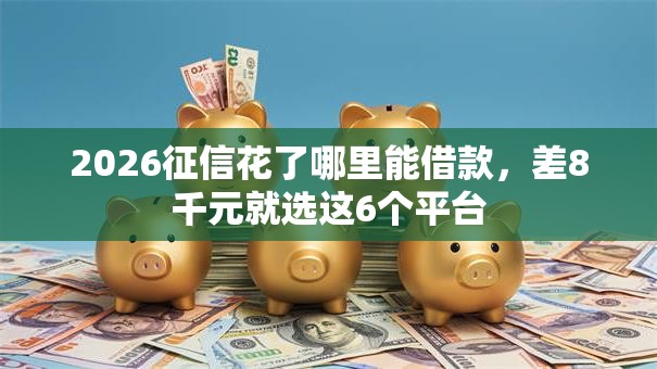 2026征信花了哪里能借款，差8千元就选这6个平台