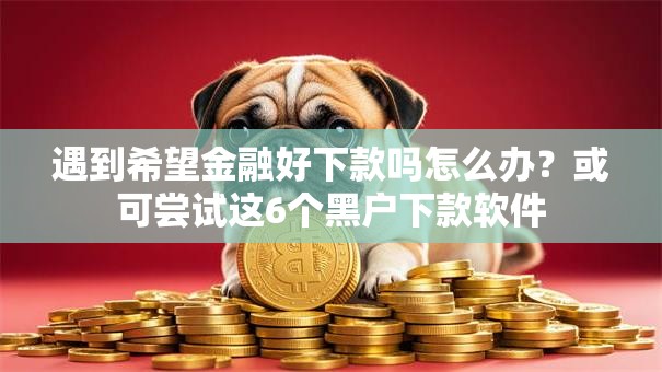 遇到希望金融好下款吗怎么办？或可尝试这6个黑户下款软件