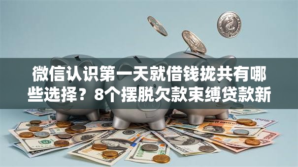微信认识第一天就借钱拢共有哪些选择？8个摆脱欠款束缚贷款新平台详解