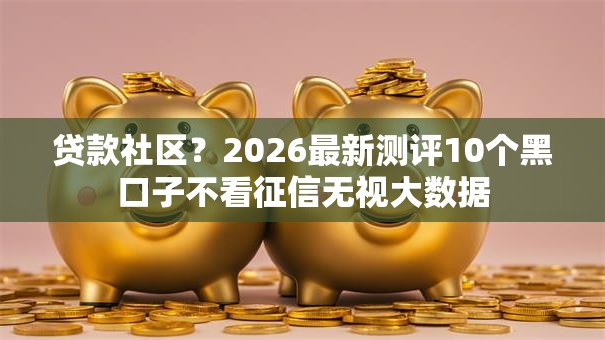 贷款社区？2026最新测评10个黑口子不看征信无视大数据