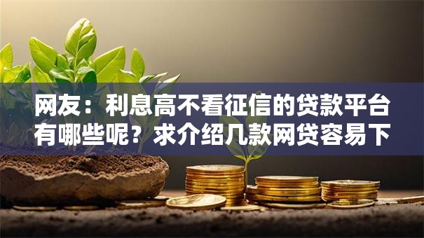 网友：利息高不看征信的贷款平台有哪些呢？求介绍几款网贷容易下款18岁的口子