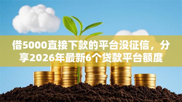借5000直接下款的平台没征信，分享2026年最新6个贷款平台额度高利息低