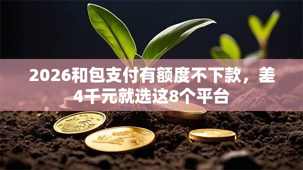 2026和包支付有额度不下款，差4千元就选这8个平台