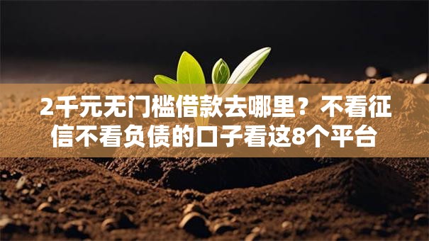 2千元无门槛借款去哪里？不看征信不看负债的口子看这8个平台
