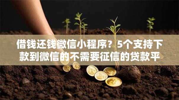 借钱还钱微信小程序？5个支持下款到微信的不需要征信的贷款平台