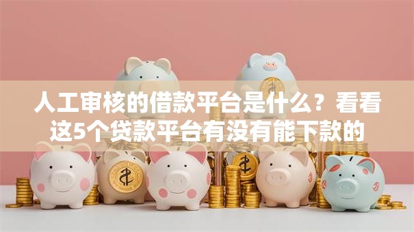 人工审核的借款平台是什么？看看这5个贷款平台有没有能下款的