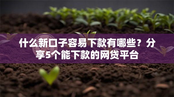 什么新口子容易下款有哪些？分享5个能下款的网贷平台
