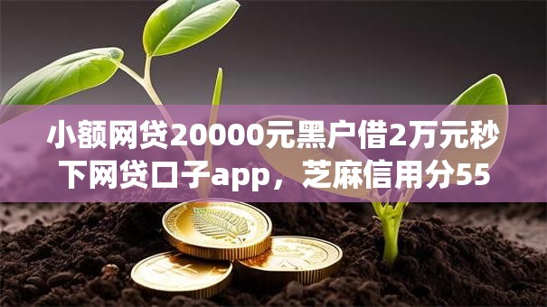 小额网贷20000元黑户借2万元秒下网贷口子app，芝麻信用分550的小贷的6个平台介绍