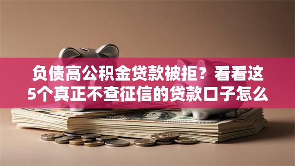 负债高公积金贷款被拒？看看这5个真正不查征信的贷款口子怎么样