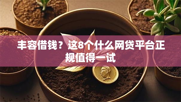 丰容借钱？这8个什么网贷平台正规值得一试