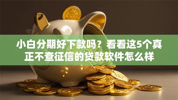 小白分期好下款吗？看看这5个真正不查征信的贷款软件怎么样