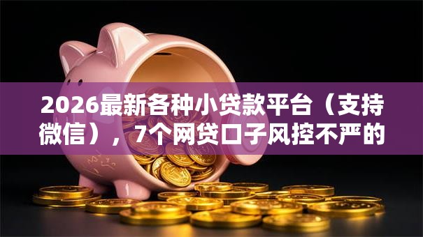 2026最新各种小贷款平台（支持微信），7个网贷口子风控不严的平台无私分享