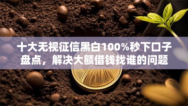 十大无视征信黑白100%秒下口子盘点，解决大额借钱找谁的问题