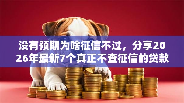 没有预期为啥征信不过，分享2026年最新7个真正不查征信的贷款软件
