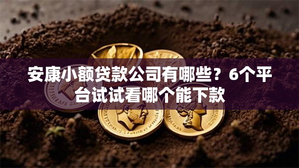 安康小额贷款公司有哪些？6个平台试试看哪个能下款