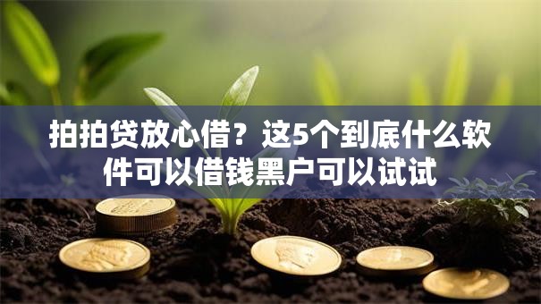 拍拍贷放心借?这5个到底什么软件可以借钱黑户可以试试 拍拍贷放心借?这5个到底什么软件可以借钱黑户可以试试
