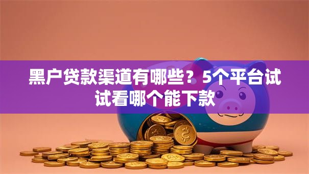 黑户贷款渠道有哪些？5个平台试试看哪个能下款