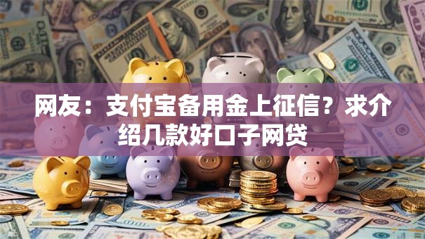 网友：支付宝备用金上征信？求介绍几款好口子网贷
