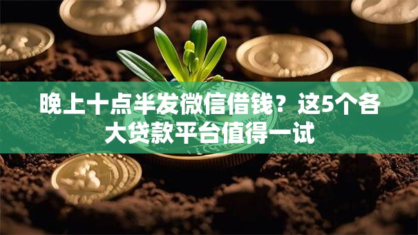 晚上十点半发微信借钱？这5个各大贷款平台值得一试