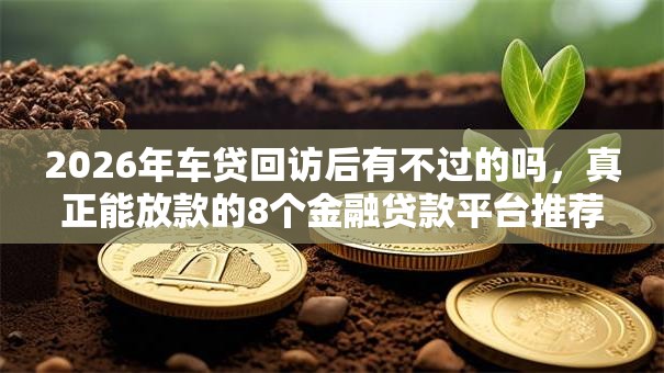 2026年车贷回访后有不过的吗，真正能放款的8个金融贷款平台推荐