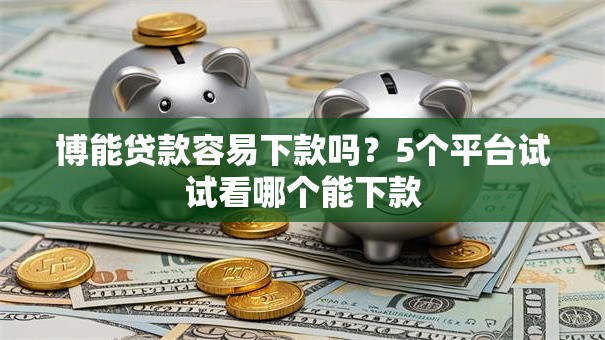 博能贷款容易下款吗？5个平台试试看哪个能下款