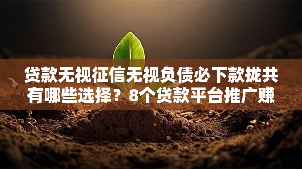 贷款无视征信无视负债必下款拢共有哪些选择？8个贷款平台推广赚佣金详解