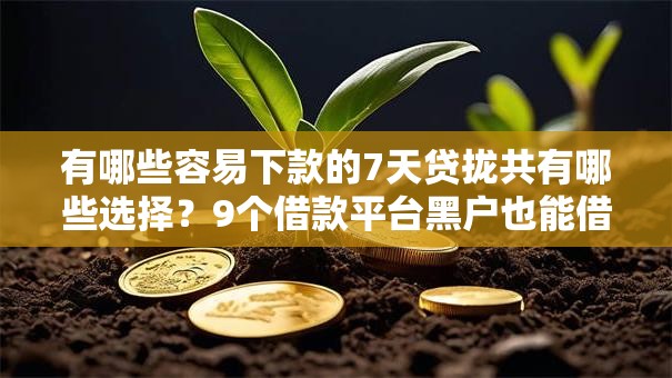 有哪些容易下款的7天贷拢共有哪些选择？9个借款平台黑户也能借款详解