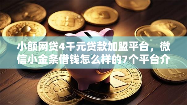 小额网贷4千元贷款加盟平台，微信小金条借钱怎么样的7个平台介绍