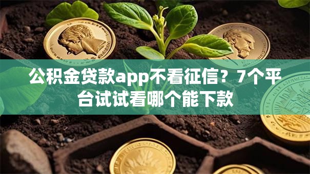 公积金贷款app不看征信？7个平台试试看哪个能下款