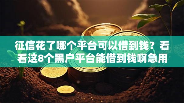 征信花了哪个平台可以借到钱？看看这8个黑户平台能借到钱啊急用怎么样