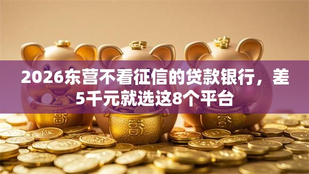 2026东营不看征信的贷款银行，差5千元就选这8个平台