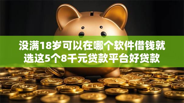 没满18岁可以在哪个软件借钱就选这5个8千元贷款平台好贷款