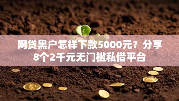 网贷黑户怎样下款5000元？分享8个2千元无门槛私借平台
