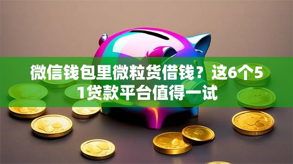 微信钱包里微粒货借钱？这6个51贷款平台值得一试