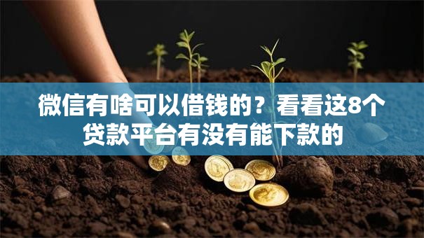 微信有啥可以借钱的？看看这8个贷款平台有没有能下款的