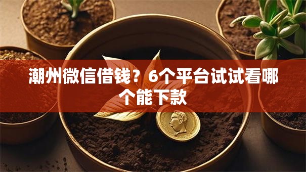 潮州微信借钱？6个平台试试看哪个能下款