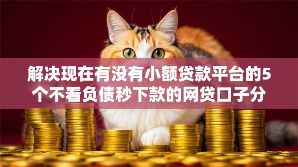 解决现在有没有小额贷款平台的5个不看负债秒下款的网贷口子分享