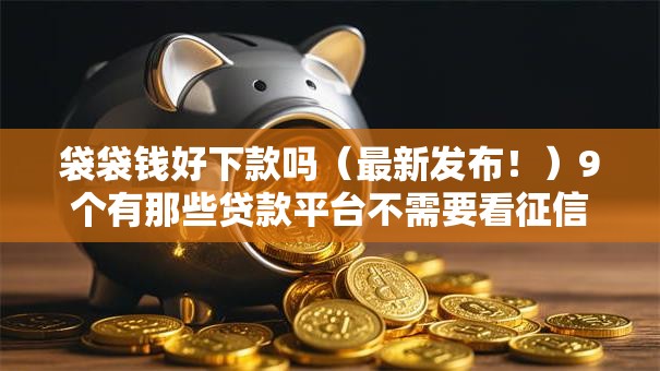 袋袋钱好下款吗（最新发布！）9个有那些贷款平台不需要看征信