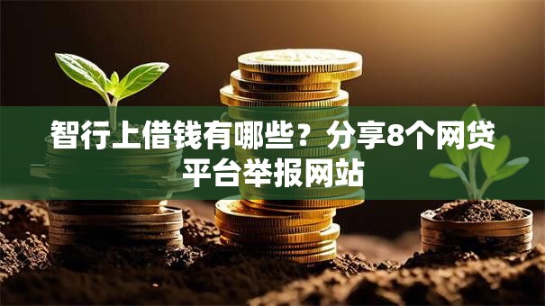 智行上借钱有哪些？分享8个网贷平台举报网站
