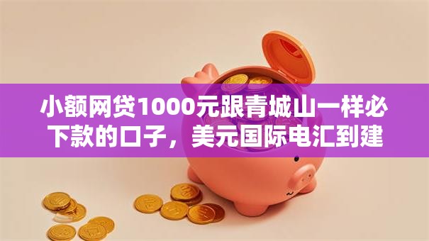 小额网贷1000元跟青城山一样必下款的口子，美元国际电汇到建行被拒的6个平台介绍