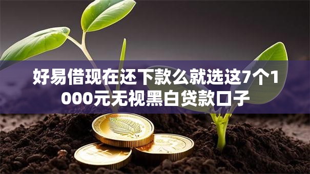 好易借现在还下款么就选这7个1000元无视黑白贷款口子