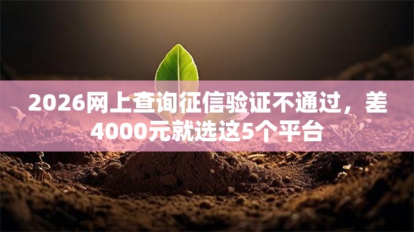 2026网上查询征信验证不通过，差4000元就选这5个平台