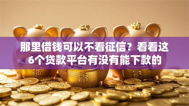 那里借钱可以不看征信？看看这6个贷款平台有没有能下款的