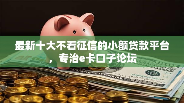 最新十大不看征信的小额贷款平台，专治e卡口子论坛