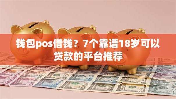 钱包pos借钱？7个靠谱18岁可以贷款的平台推荐