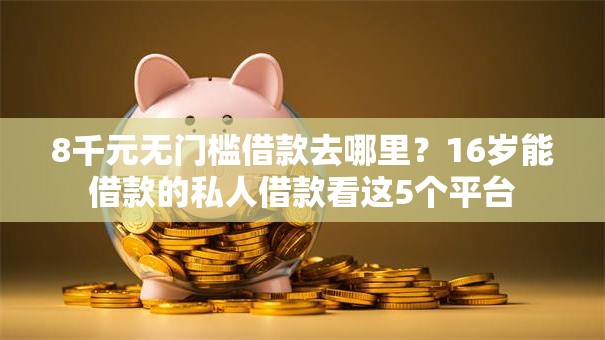 8千元无门槛借款去哪里？16岁能借款的私人借款看这5个平台