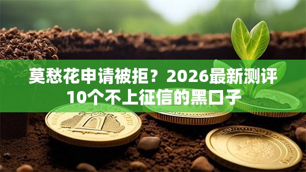 莫愁花申请被拒？2026最新测评10个不上征信的黑口子