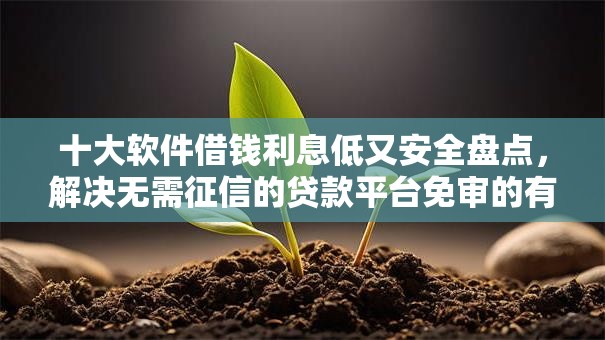 十大软件借钱利息低又安全盘点，解决无需征信的贷款平台免审的有哪些的问题