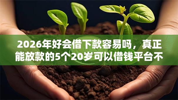 2026年好会借下款容易吗，真正能放款的5个20岁可以借钱平台不查征信的口子推荐