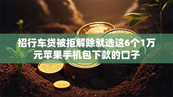 招行车贷被拒解除就选这6个1万元苹果手机包下款的口子